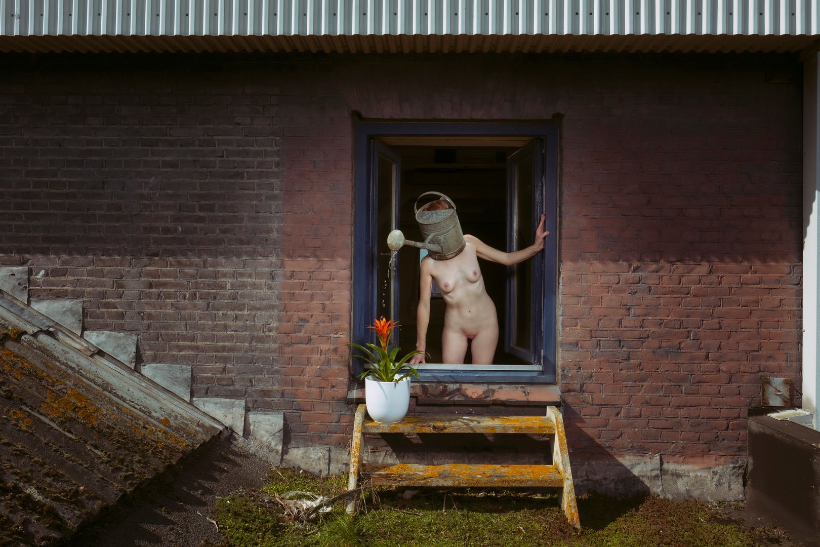 A nude person stands in a window, holding a watering can over their head as water pours onto a potted plant on a wooden platform outside—a striking image for any portfolio, set against a weathered brick wall with stairs to the left.