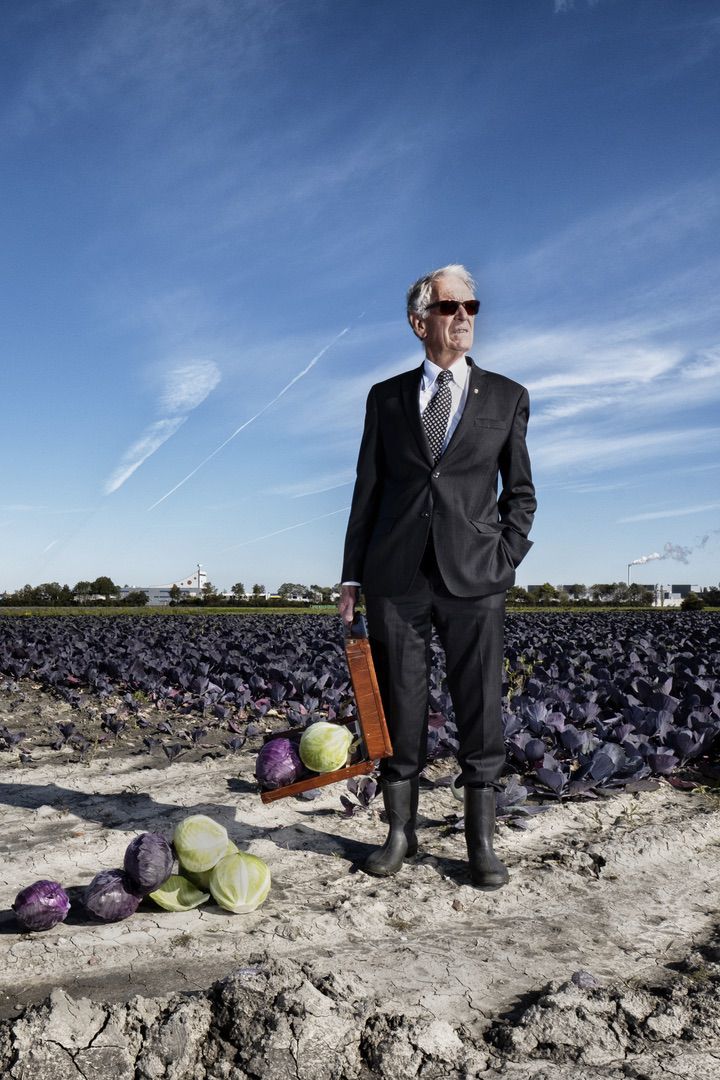 An older man in a suit and tie stands in a cabbage field, holding a portfolio and wearing rubber boots, with rows of purple and green cabbages behind him under a blue sky.