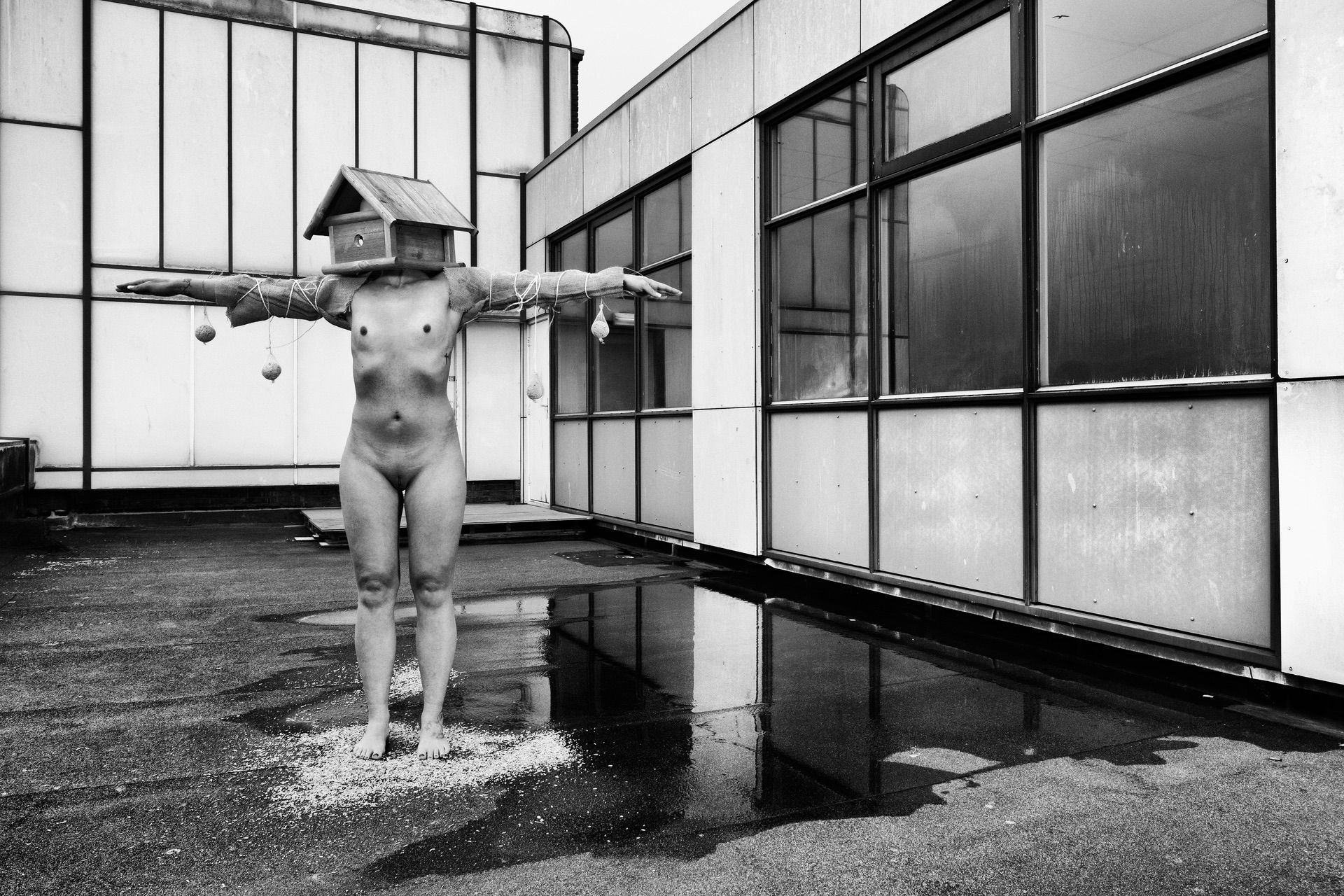 A nude figure stands on a rooftop, arms outstretched and head in a birdhouse, with small objects hanging from their arms. This black and white scene unfolds before modern building walls. Artwork: Lust (Copy).